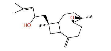 4,5-Epoxy-8(19),14-xeniaphylladien-13-ol